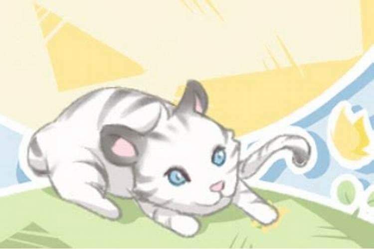 女人梦见猫是什么预兆