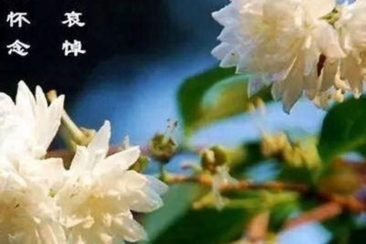 算八字太岁是什么意思