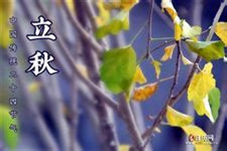 出生在立秋后算七月吗过了立秋算七月？