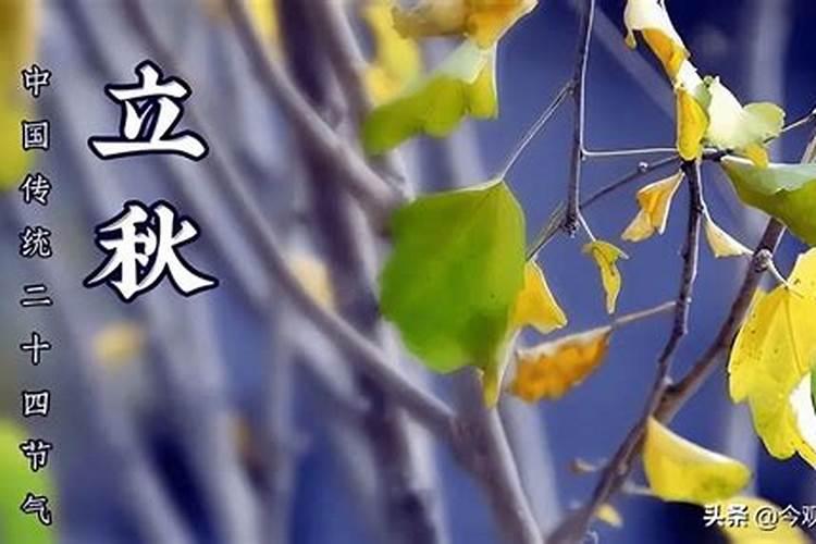 二月二龙抬头出生的人命运怎么样？
