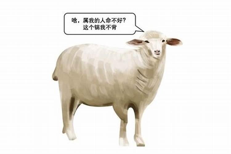 冬至后转运的生肖