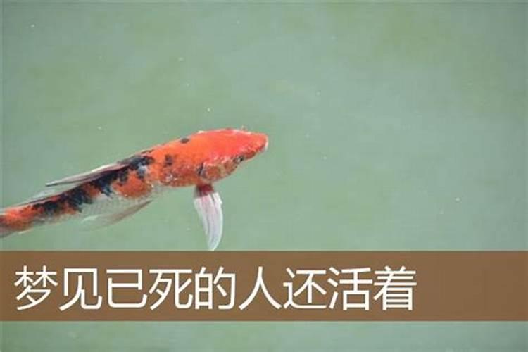 怎么查八字有没有财运,如何从八字中看有无发财运