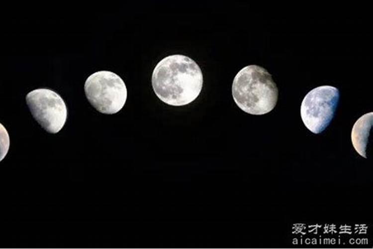 太岁究竟是什么东西？