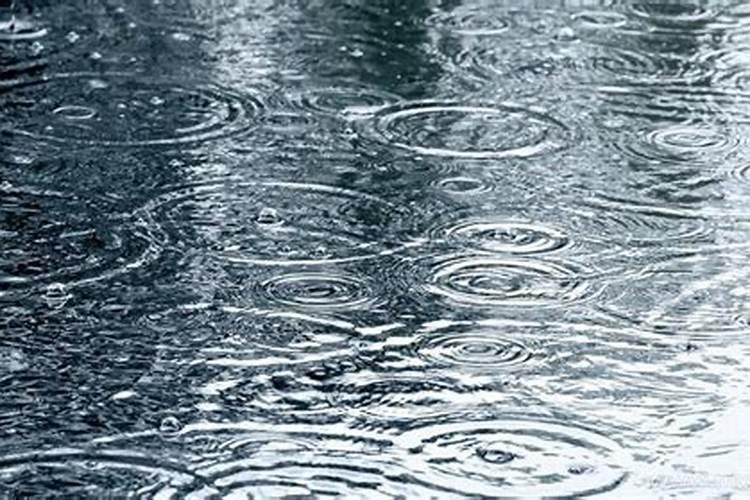 梦见下很大的雨到处都是水的预兆