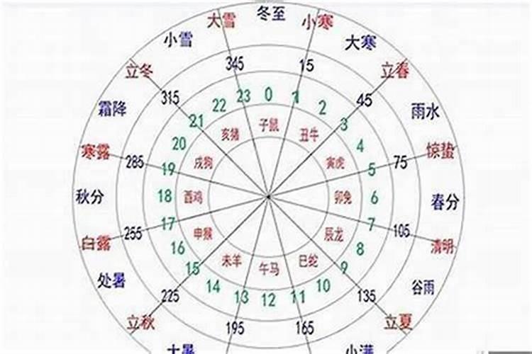 如何看懂八字排盘
