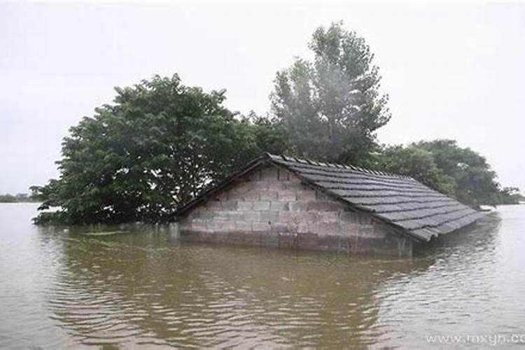 梦见家被水淹和鱼