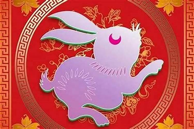 昨晚梦见乌龟趴在肚皮上,头朝下,嘴里吐血。旁边有人说要把乌龟的壳扒...