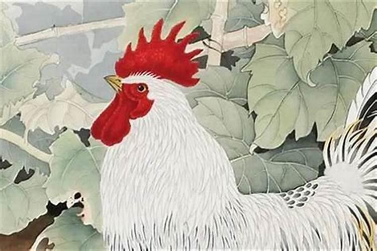 78岁属鸡的今年健康运势
