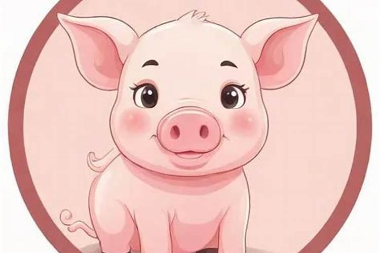 算命大师说的,不知道是什么意思？