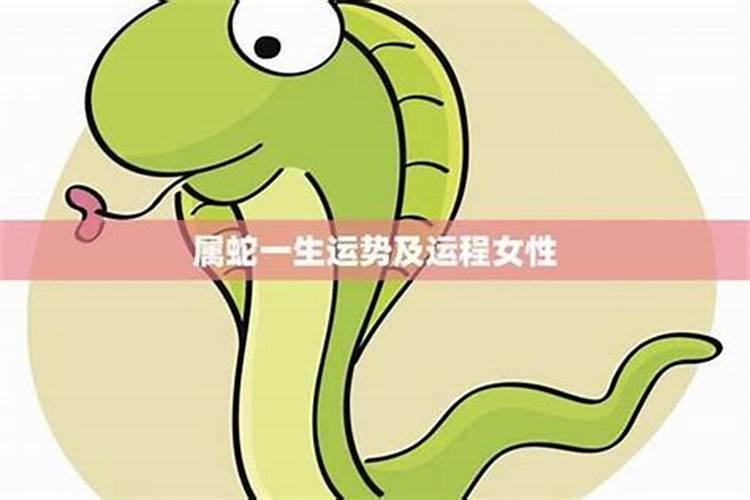 82年的狗2025年运势