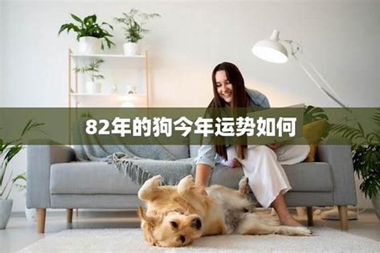 冲太岁、刑太岁、害太岁、破太岁、怎么回事？