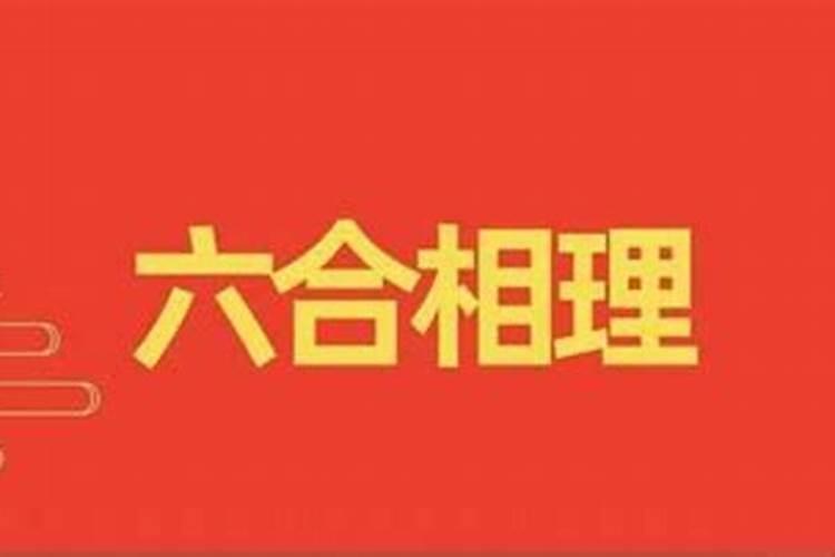 农历1982年大年初三出生的属什么有看到说属鸡的很疑惑所以问问百度...
