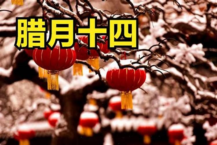 属羊的最佳配偶是什么？