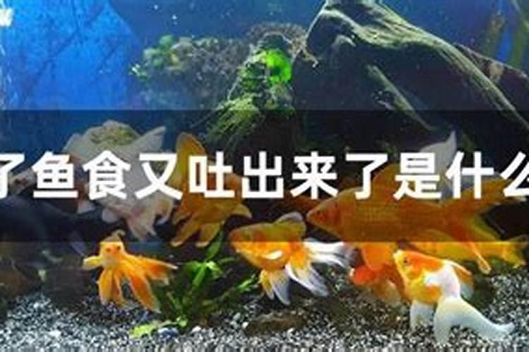 什么是太岁？真的是动物吗？