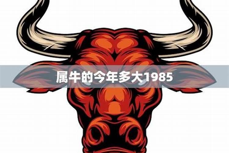 1985年牛男2025年运势