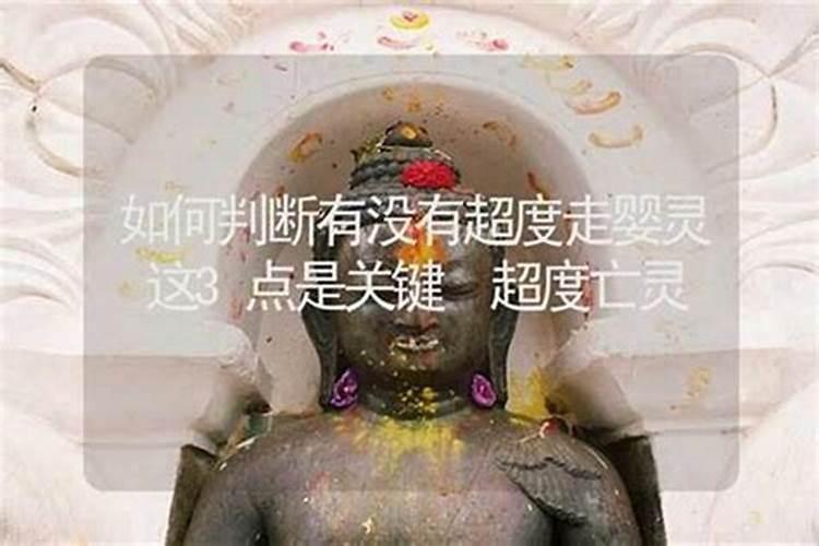 属猪人2025年6月份运势