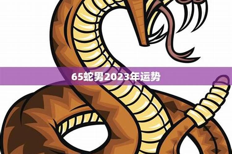 65年属蛇人2025年运程