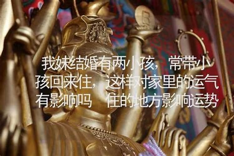 狗婚配属相最好,狗跟狗属相相配可以吗