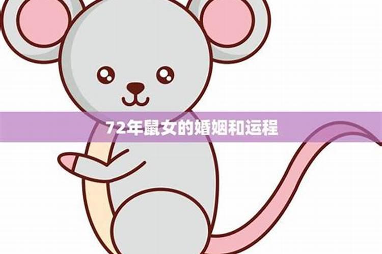 84鼠女2025婚姻会破裂吗