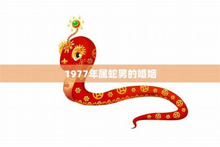 77年属蛇婚姻,1977年属蛇人婚姻命运