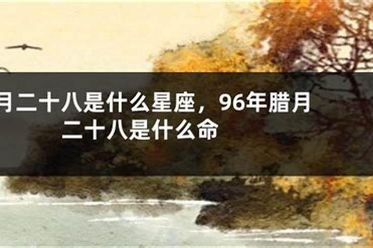 1983属猪女2025年全年运势