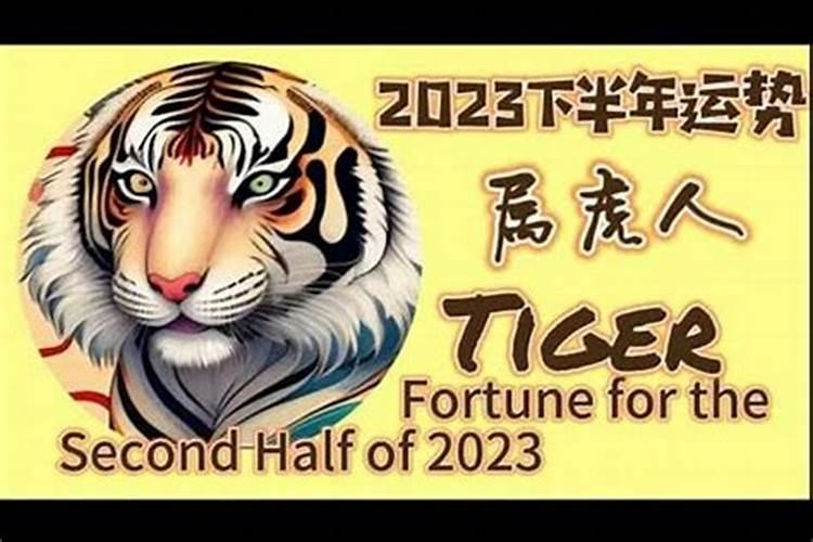 74虎下半年每月运势