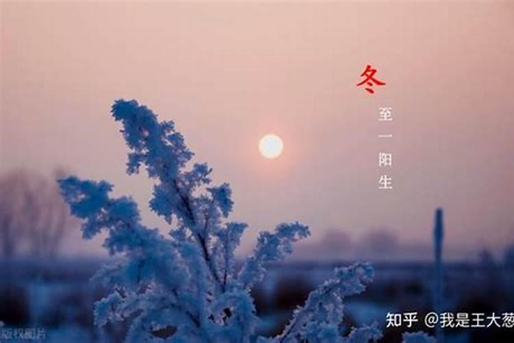 2025属狗人的全年运势如何