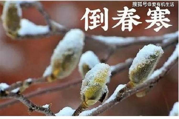 本命年红绳必须别人送吗