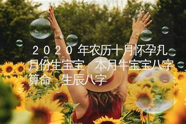 梦见下雪是什么意思 梦见下雪预兆什么