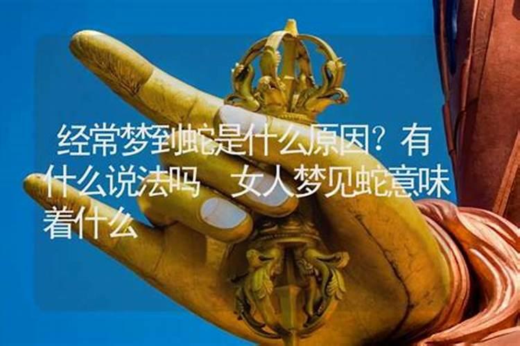 50岁男人梦见蛇预示着什么