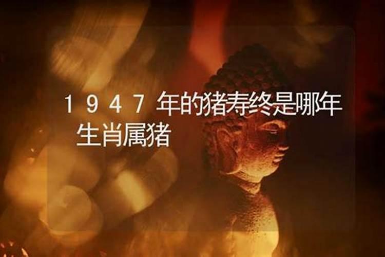 1947年属猪的2024年健康