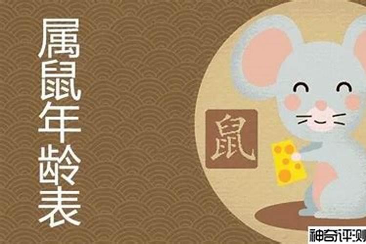 72年鼠女今年每月运程