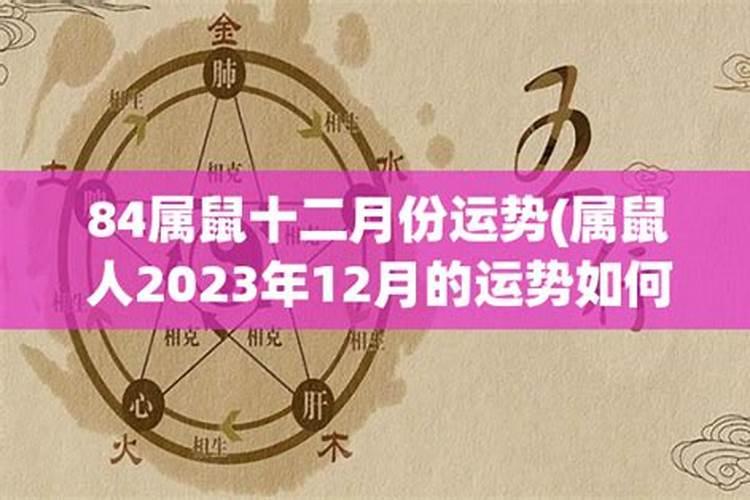 属鼠12月初十生的人命运如何