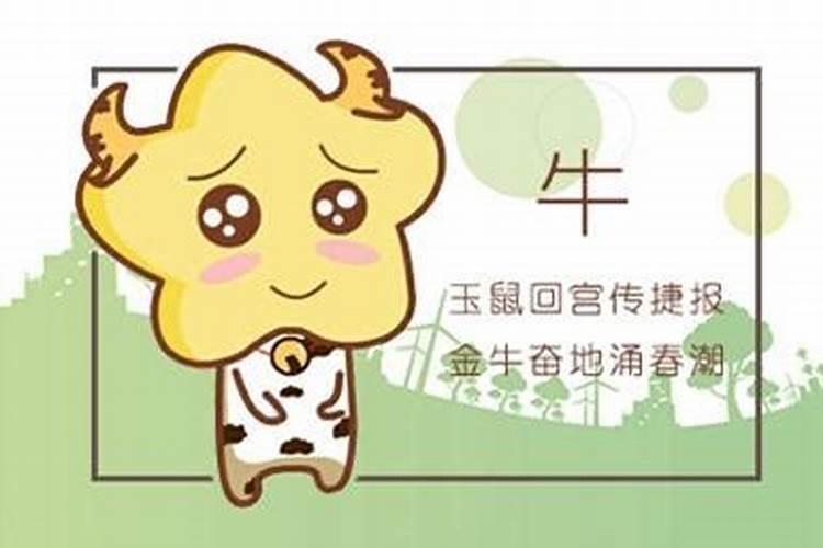 72年生肖猪50岁以后运势,71年属猪50岁以后的命运