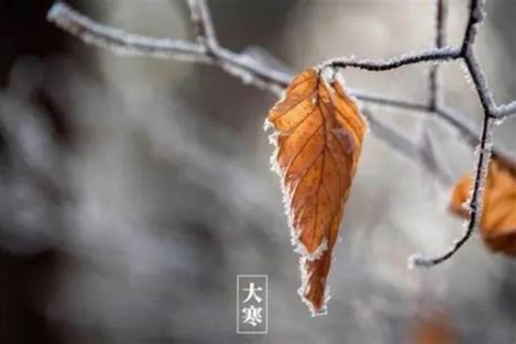 三大人节,三大鬼节,三大神节分别是什么时候？