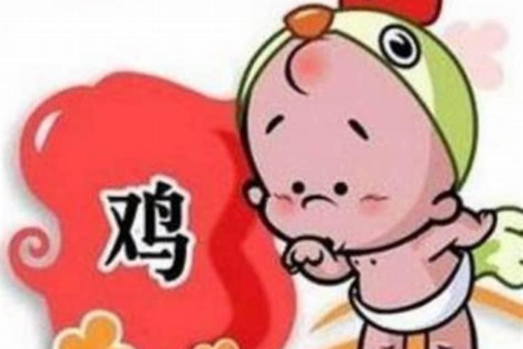 男属兔女属鸡婚姻状况 男鸡女兔适合做夫妻吗