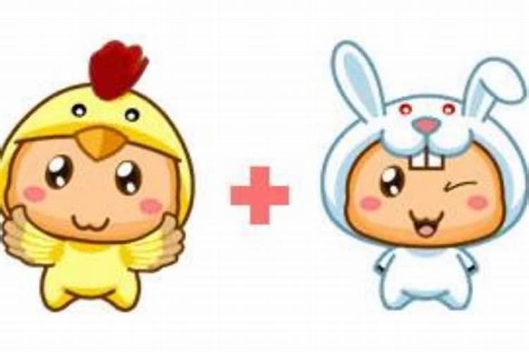 兔男鸡女婚姻是否相配