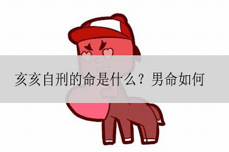 1月26号属鸡出生日的命运解析
