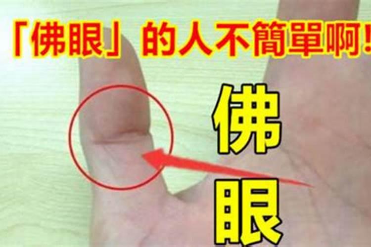李计忠谈2024年十二生肖运程