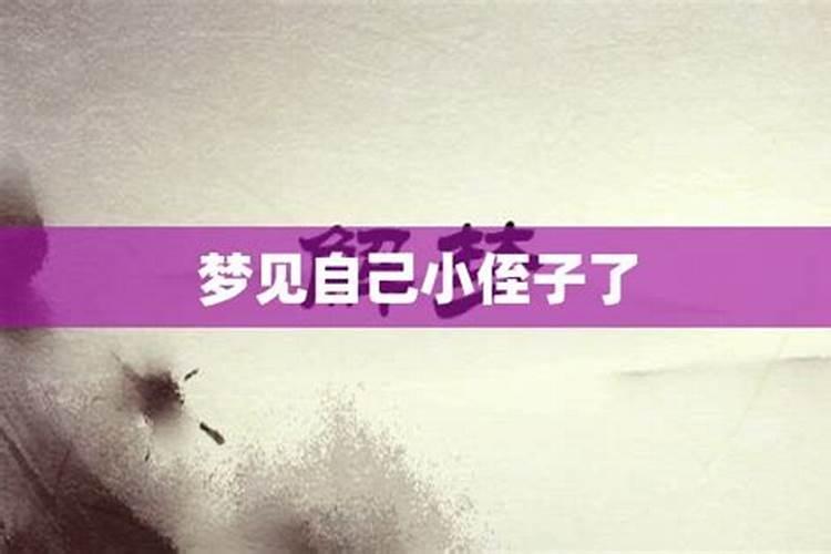 95猪女2025每月运势