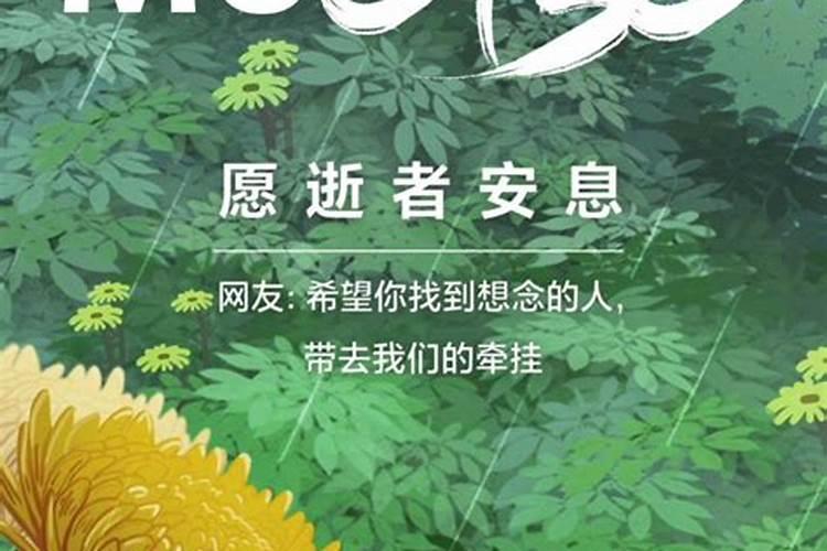 生肖猪1995年2025年运势如何 生肖猪1995年2025年全年运势