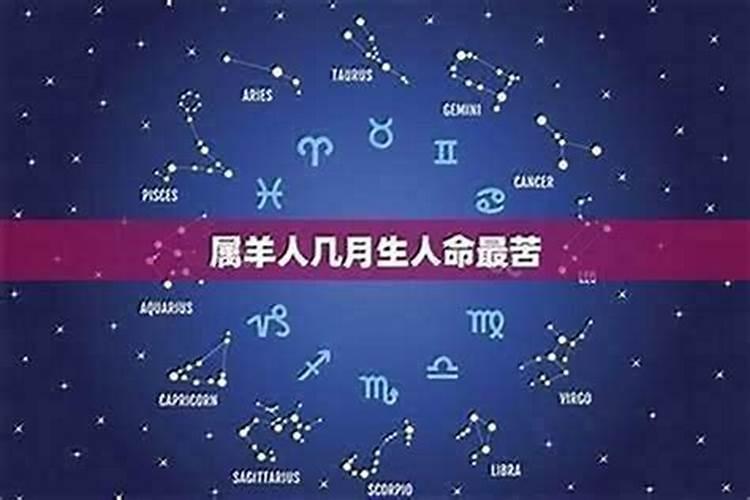 子时出生的属羊人命运分析