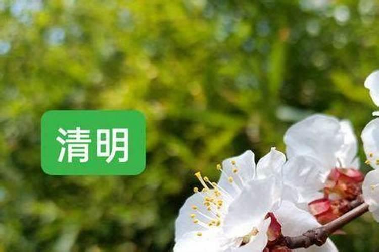 四大银行贷款利率比较:寻找最优惠方案
