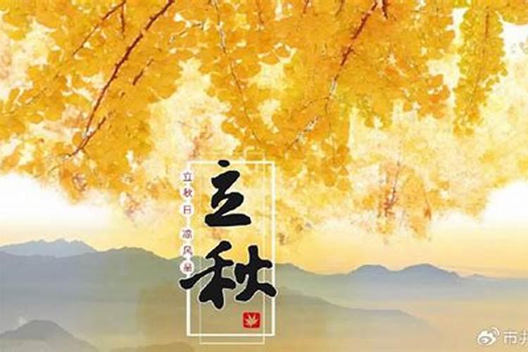 八字正格是什么意思