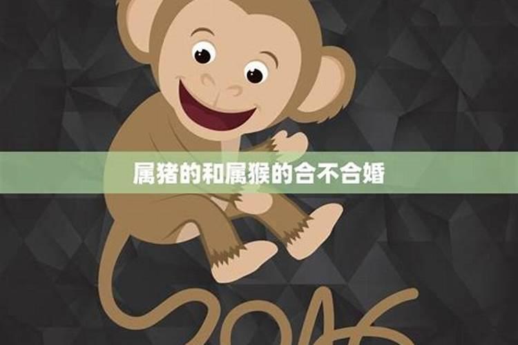 湖南嫁女儿礼金要多少