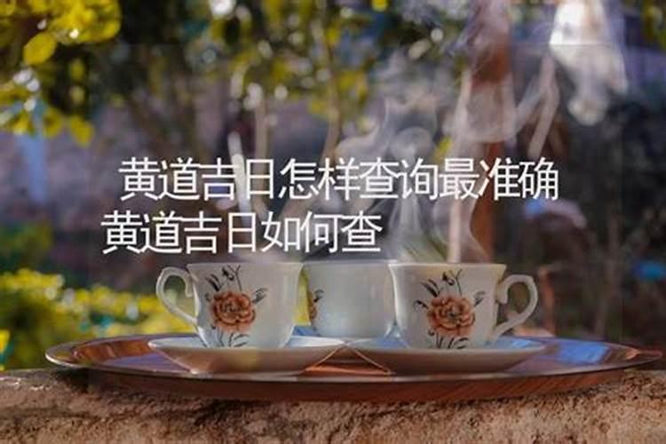 属猪的人和属猴的人合不合