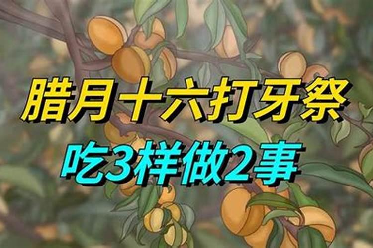 属虎2024年犯不犯太岁 属虎2024年犯太岁怎么化解