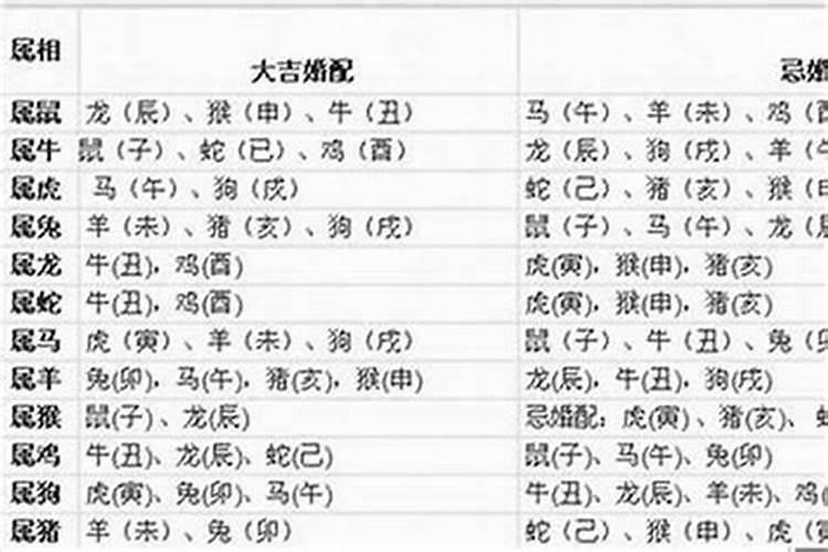 属蛇的和什么属相最配和相克属蛇和什么属相相配好