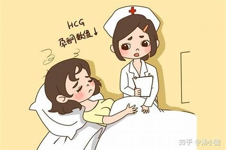 梦见捉甲鱼是什么征兆