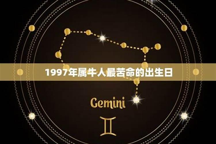 1997属牛2025年运势运程如何